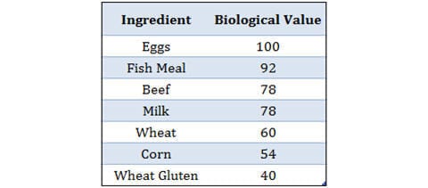Dog Food Ingredients and Their Biological Value