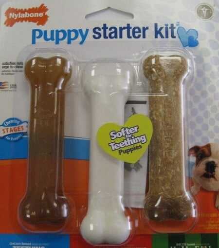 Nylabone Puppy Starter Kit Recall