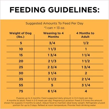 Wet Puppy Food Feeding Guidelines