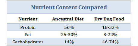 Canine Ancestral Diet versus Dry Dog Food