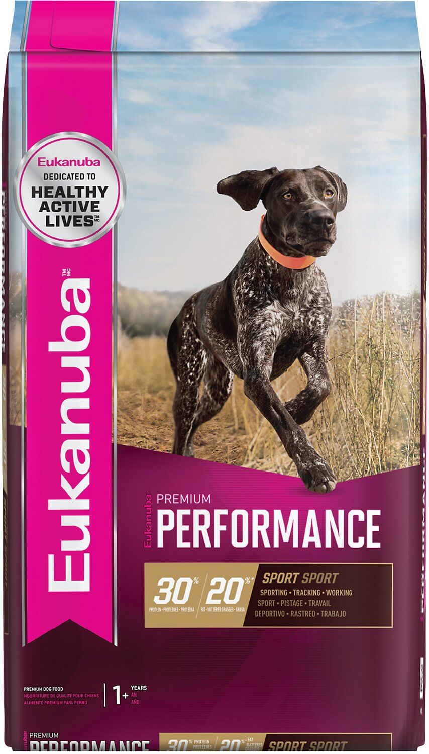 eukanuba allergy dog food