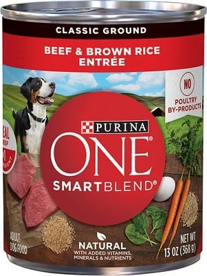 purina one hypoallergenic dog food