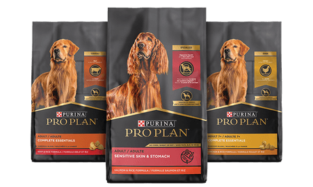 Purina Pro Plan Dog Food Review