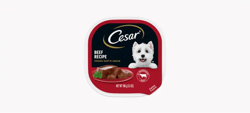 Cesar Classics Dog Food Review (Wet)