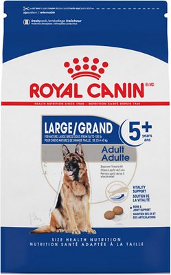 royal canin pitbull food