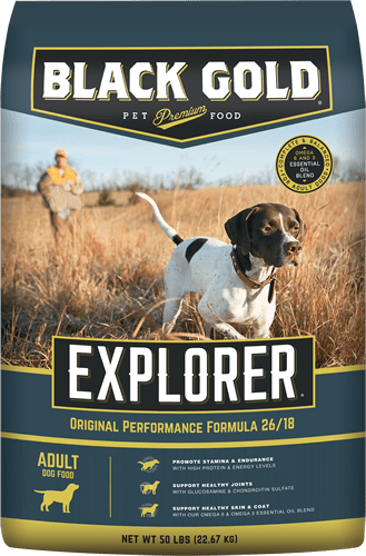 Black Gold Explorer Dog Food Review (Dry)