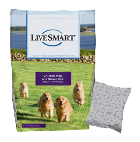 LiveSmart Dog Food Review (Dry)