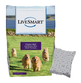 LiveSmart Dog Food Review (Dry)