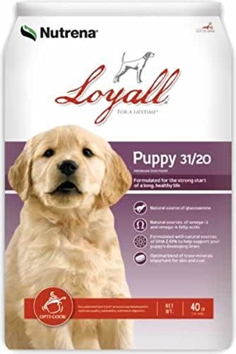 Loyall Dog Food Review (Dry)