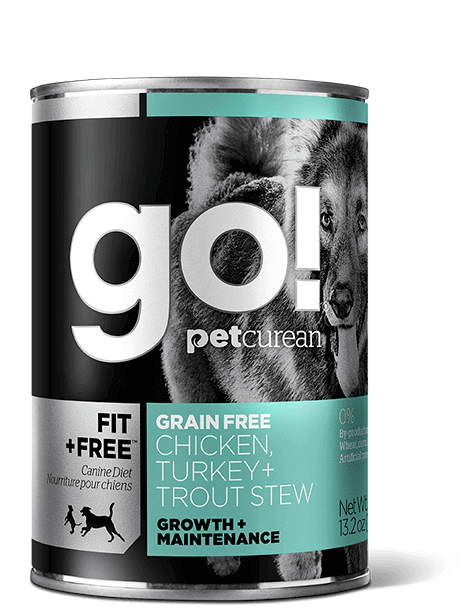 Go! Fit and Free Dog Food Review (Canned)