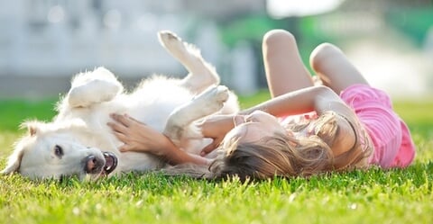 Dog and Girl Playing in the Grass