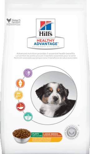 Hill’s Healthy Advantage Dog Food Review (Dry)