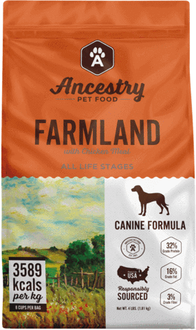 Ancestry Dog Food Review (Dry)
