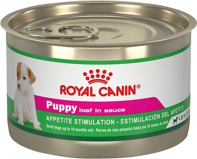 Royal Canin Canine Health Nutrition Dog Food Review (Wet)