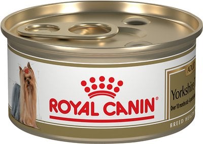 Royal Canin Adult Breed Health Nutrition Dog Food Review (Wet)