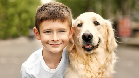 Little boy with his golden retriever