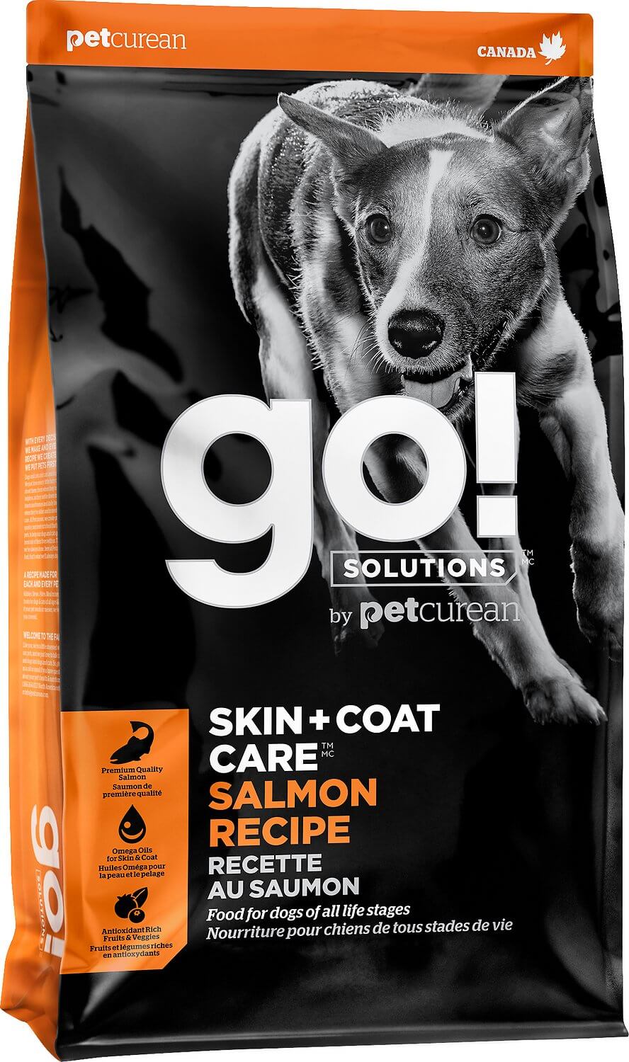 Go! Solutions Skin + Coat Care Dog Food Review (Dry)