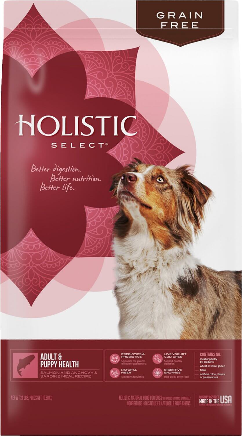 Holistic Select Grain Free Dog Food Review (Dry)