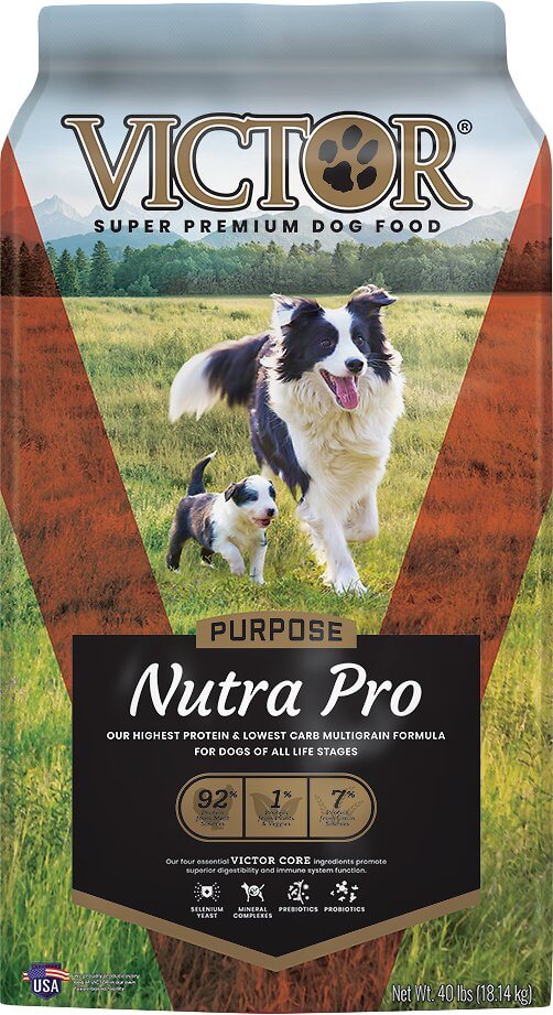 Victor Purpose Dog Food Review Rating Recalls