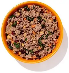 Ollie Fresh Dog Food - Best Dog Food with Grain