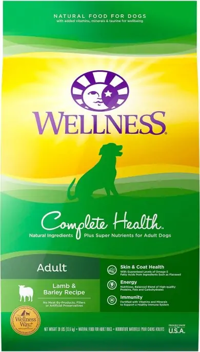 Wellness Complete Health - Best Dog Food with Grain