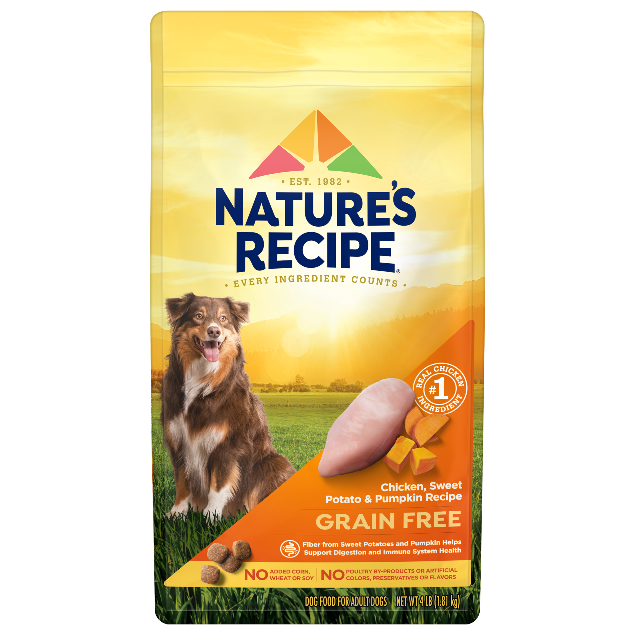 Nature's Recipe Chicken, Sweet Potato and Pumpkin Recipe - Best Budget-Friendly Dog Foods