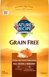 Nature's Recipe Grain-Free Dry Dog Food - Best Budget-Friendly Dog Foods