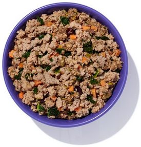 Ollie Turkey Dish with Blueberries - Best Food for Mixed Breed Puppies
