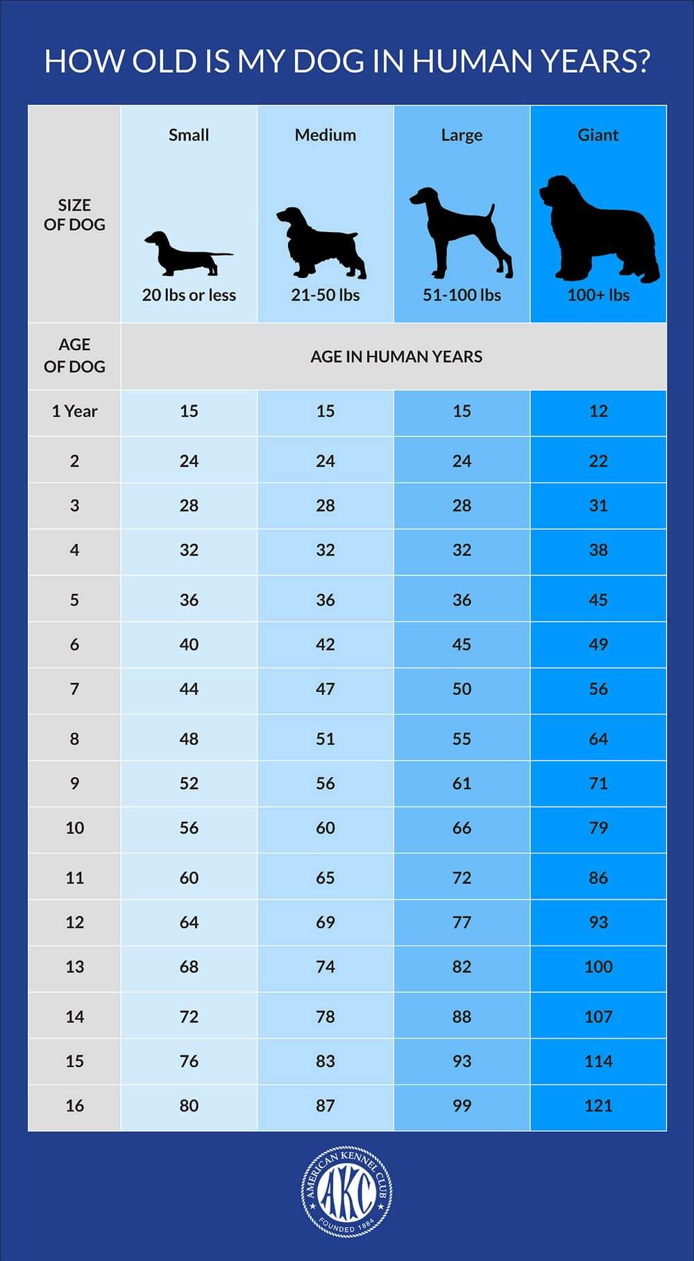 AKC - Your dog's age in human years