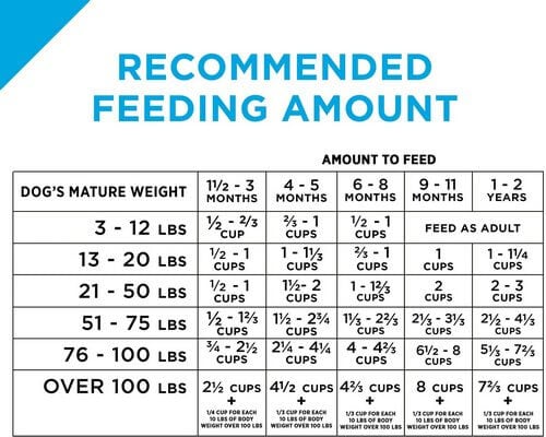 Recommended Feeding Amount on Dog Food Package