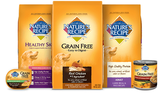 Brand Prototype: Nature’s Recipe Dog Food Review