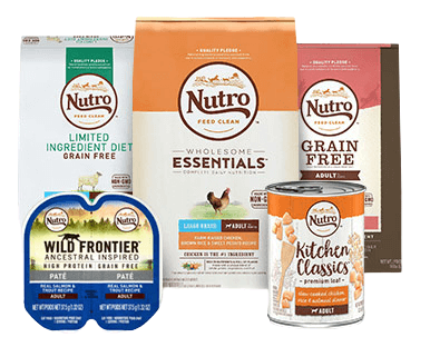 Nutro Natural Choice - Best Large Breed Puppy Foods