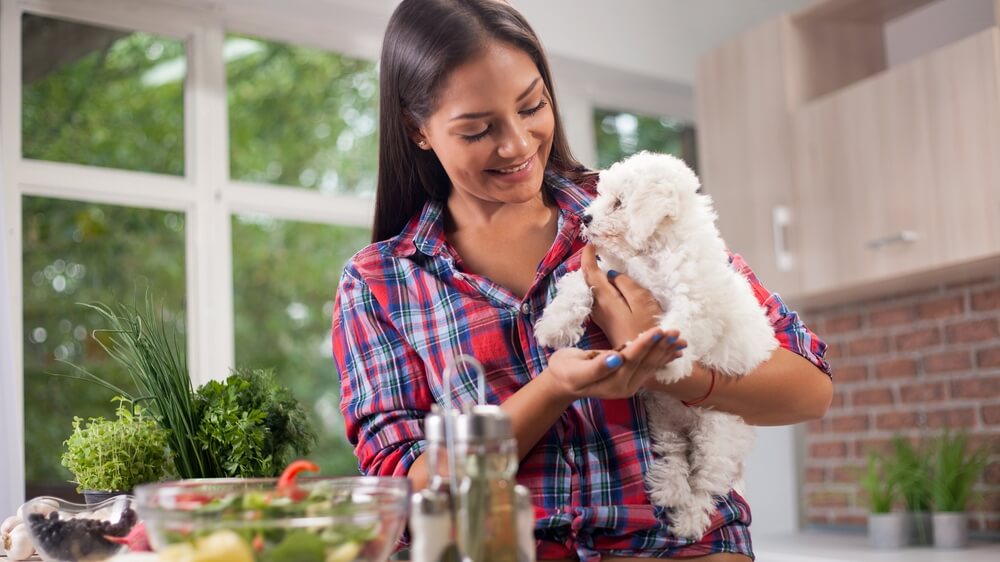 Best Fresh Dog Food Brands 2023 DogFoodAdvisor