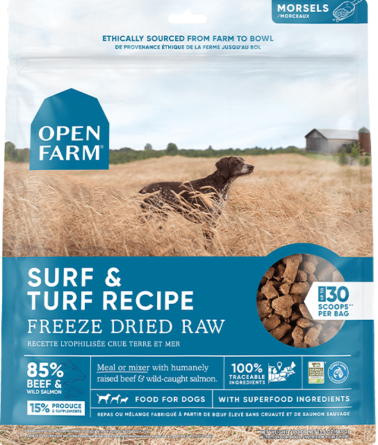 Exquisite Dried Freeze Dog Food Landscape Nature Exquisite Dried Freeze Dog Food Landscape Nature