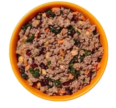 Ollie Lamb Dish with Cranberries - Best Natural Dog Food