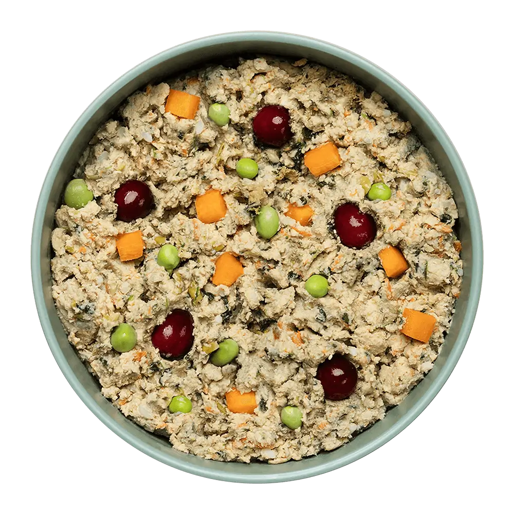 Best dog food for poodle mix outlet