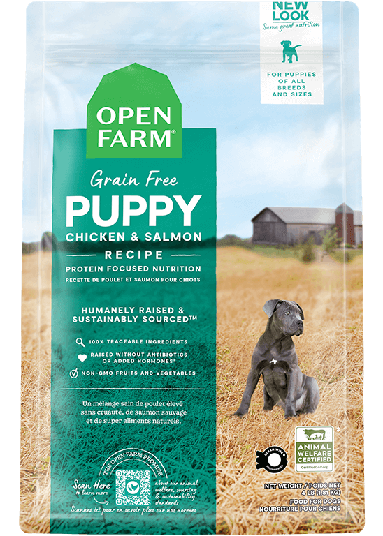 Top 10 Best Puppy Foods for 2024 Dog Food Advisor
