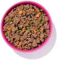 Ollie Fresh Beef with Sweet Potato - Best Dog Food for Pregnant Dogs
