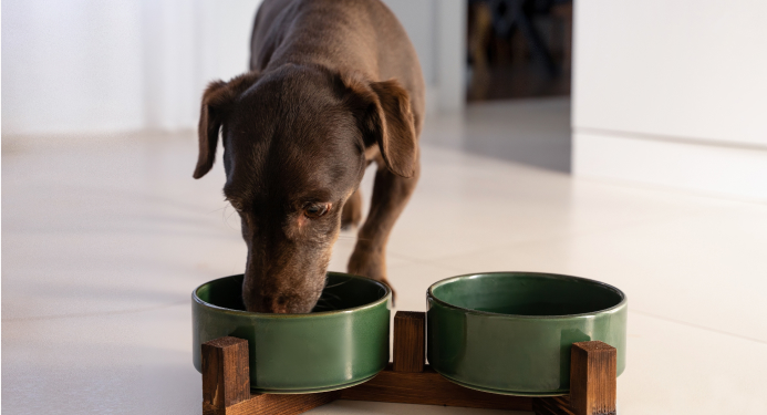 Four Star Wet Dog Foods