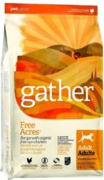 Gather - Best Dog Food for Boykin Spaniels