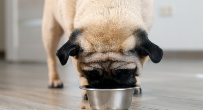 Two Star Wet Dog Foods