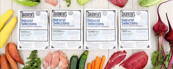 Darwin’s Natural Selections Dog Food Review (Raw Frozen)
