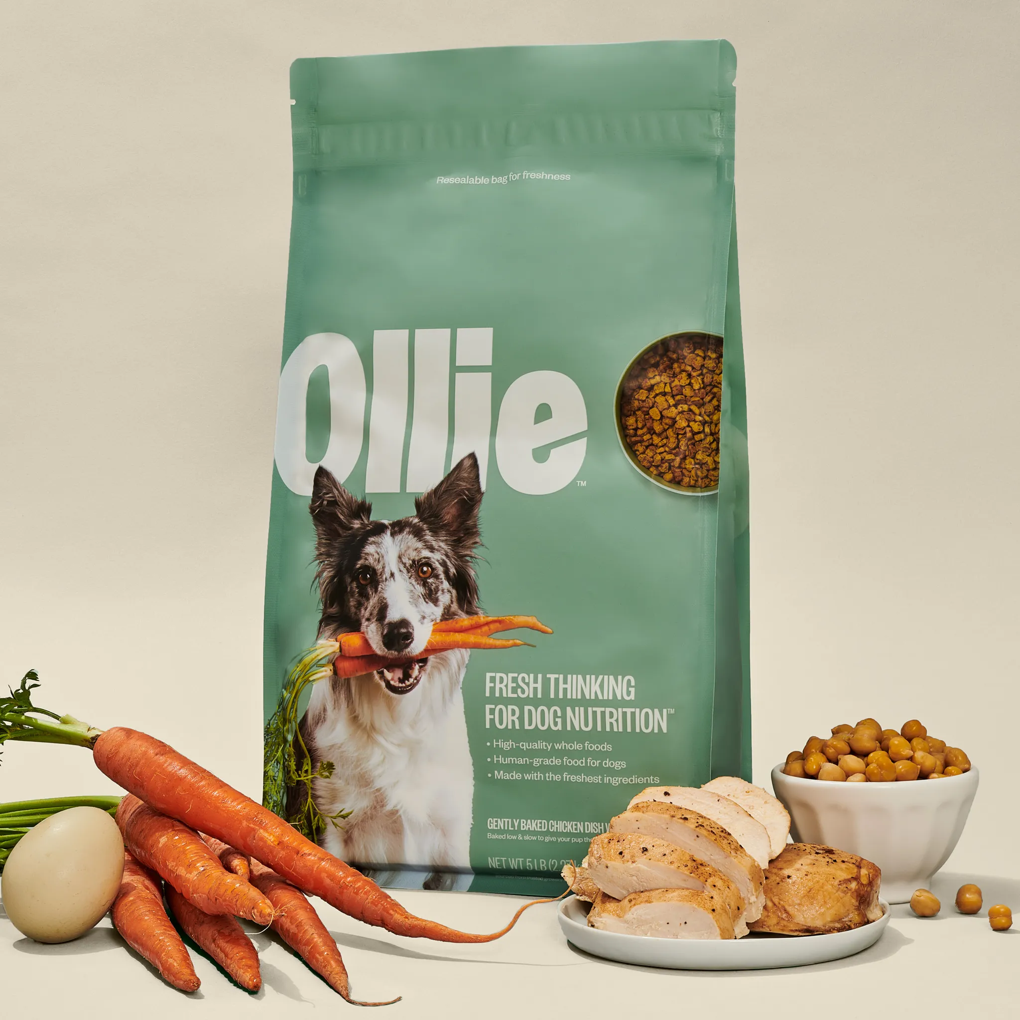 Ollie Baked Dog Food Review (Dry)