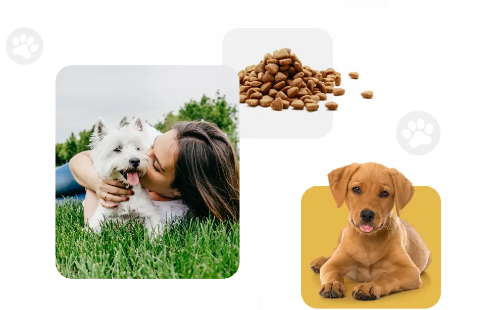 About The Dog Food Advisor