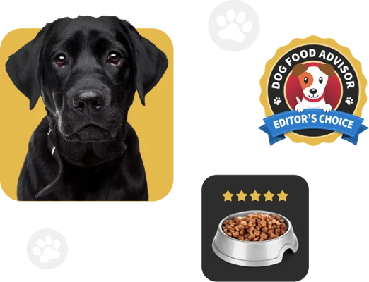 Best Food for Mixed Breed Puppies