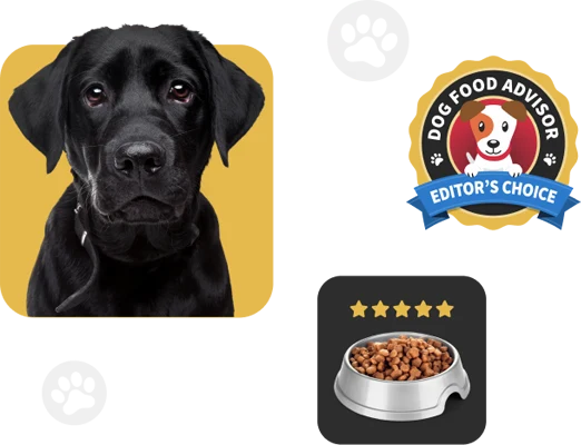 Best Dog Food for Rottweilers