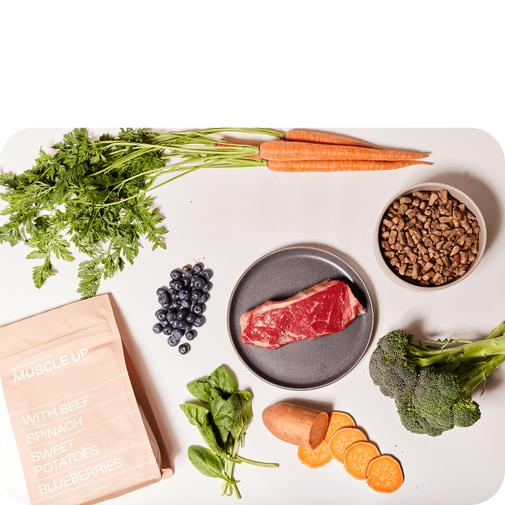 Maxbone Freeze Dried Dog Food Review image